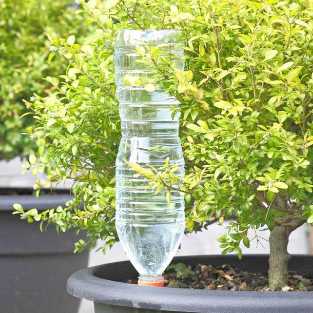 Slow-Drip Automatic Plant Watering Spikes (8-Pack)